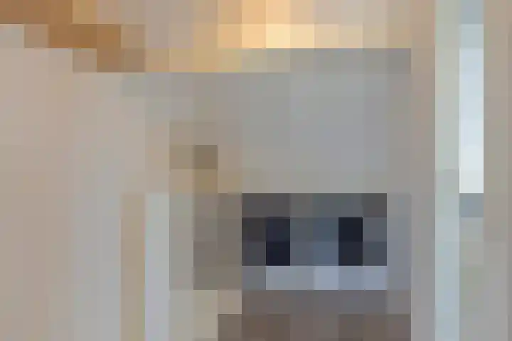 Kleine Steenkamp 4 Westervoort thumbnail 26