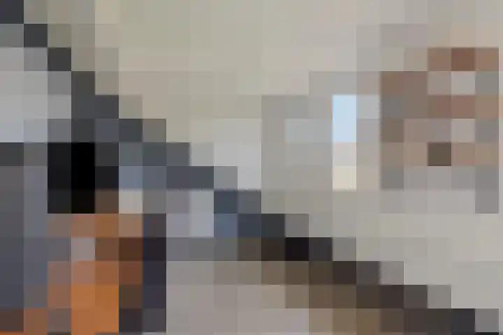 Kleine Steenkamp 4 Westervoort thumbnail 27