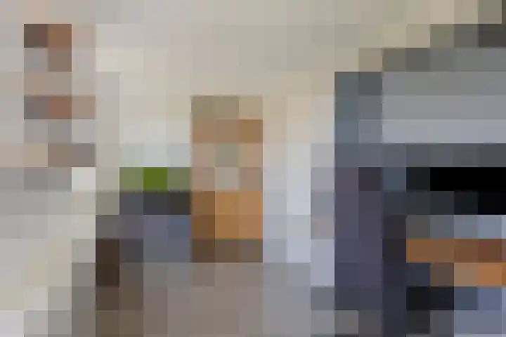 Kleine Steenkamp 4 Westervoort thumbnail 28