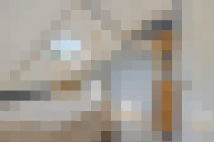 Kleine Steenkamp 4 Westervoort thumbnail 29