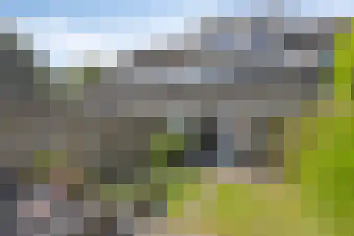 Kleine Steenkamp 4 Westervoort thumbnail 32