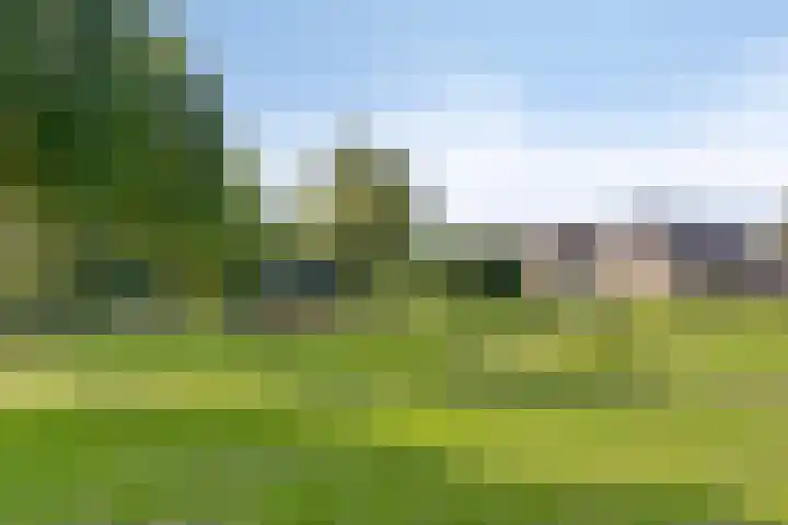 Kleine Steenkamp 4 Westervoort thumbnail 35