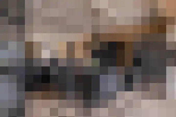 Kleine Steenkamp 6 Westervoort thumbnail 10