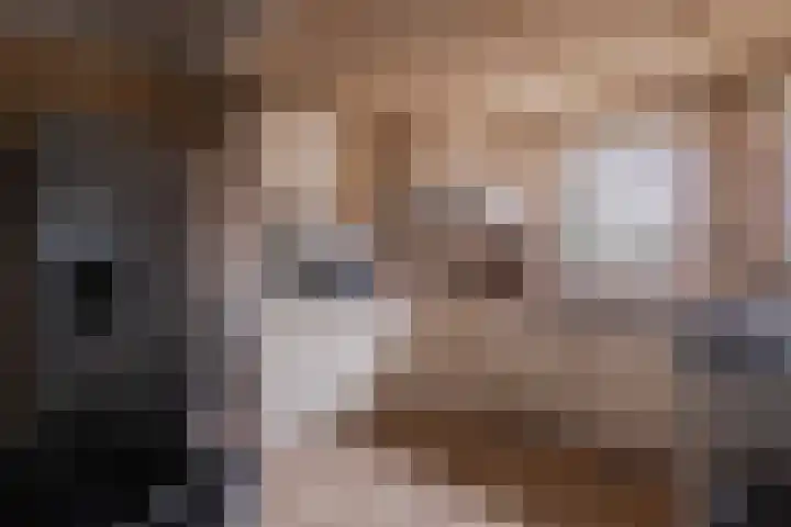 Kleine Steenkamp 6 Westervoort thumbnail 12
