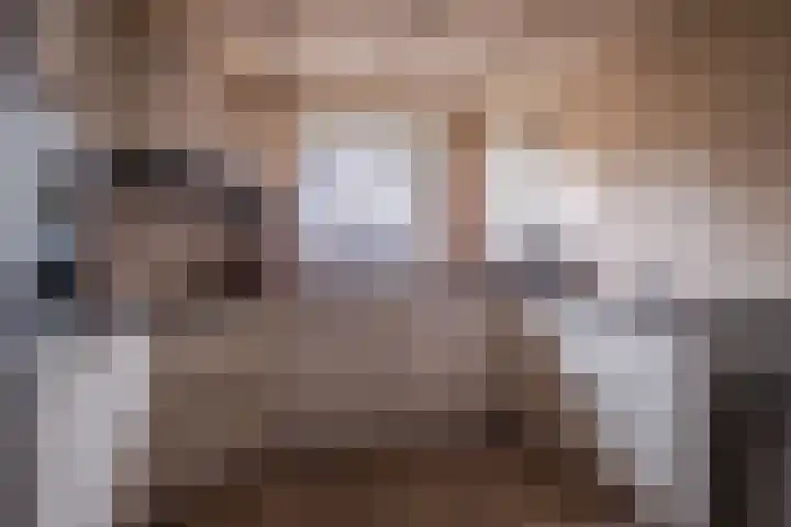 Kleine Steenkamp 6 Westervoort thumbnail 13