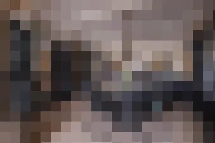 Kleine Steenkamp 6 Westervoort thumbnail 14