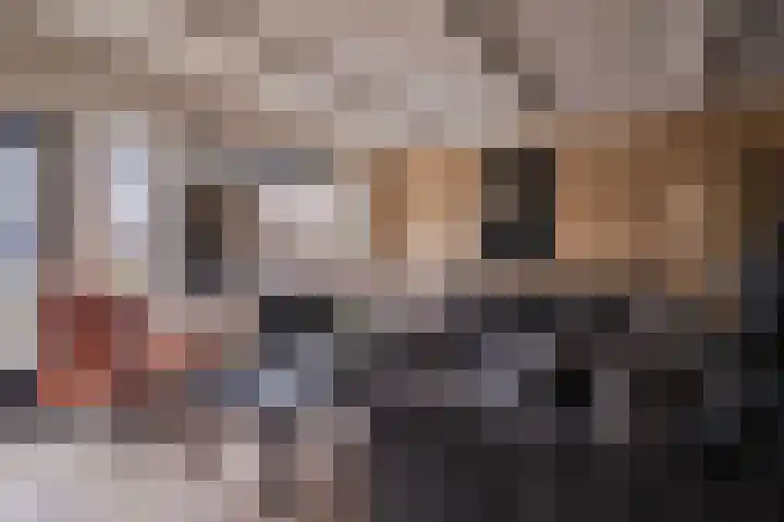Kleine Steenkamp 6 Westervoort thumbnail 15