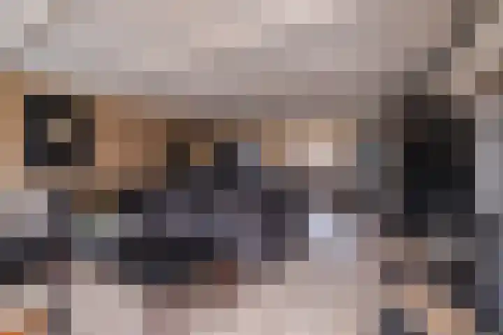 Kleine Steenkamp 6 Westervoort thumbnail 16