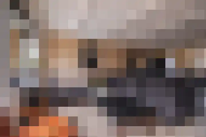 Kleine Steenkamp 6 Westervoort thumbnail 17