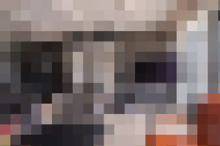 Kleine Steenkamp 6 Westervoort thumbnail 18