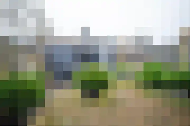 Kleine Steenkamp 6 Westervoort thumbnail 21