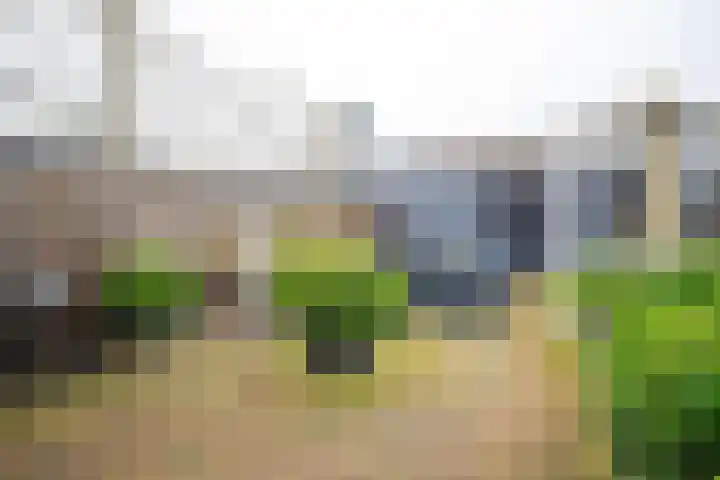 Kleine Steenkamp 6 Westervoort thumbnail 22