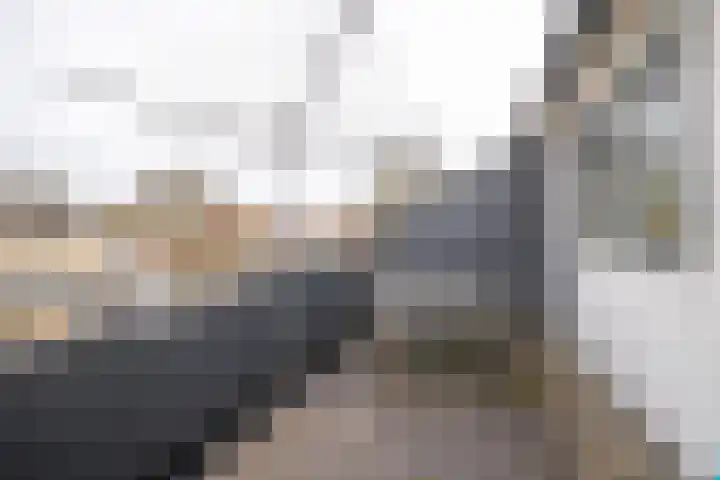 Kleine Steenkamp 6 Westervoort thumbnail 25