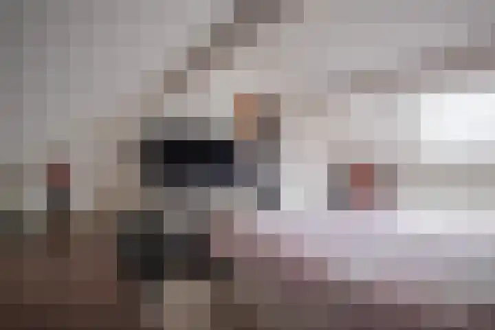 Kleine Steenkamp 6 Westervoort thumbnail 32