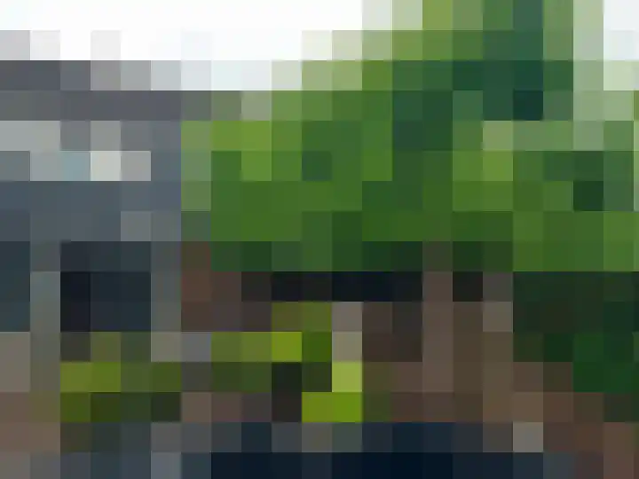 Kleine Steenkamp 6 Westervoort thumbnail 34