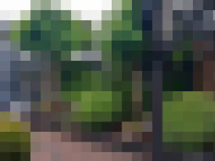 Kleine Steenkamp 6 Westervoort thumbnail 35