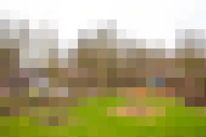 Kleine Steenkamp 6 Westervoort thumbnail 36