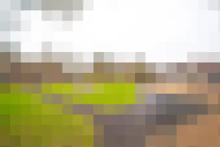 Kleine Steenkamp 6 Westervoort thumbnail 37
