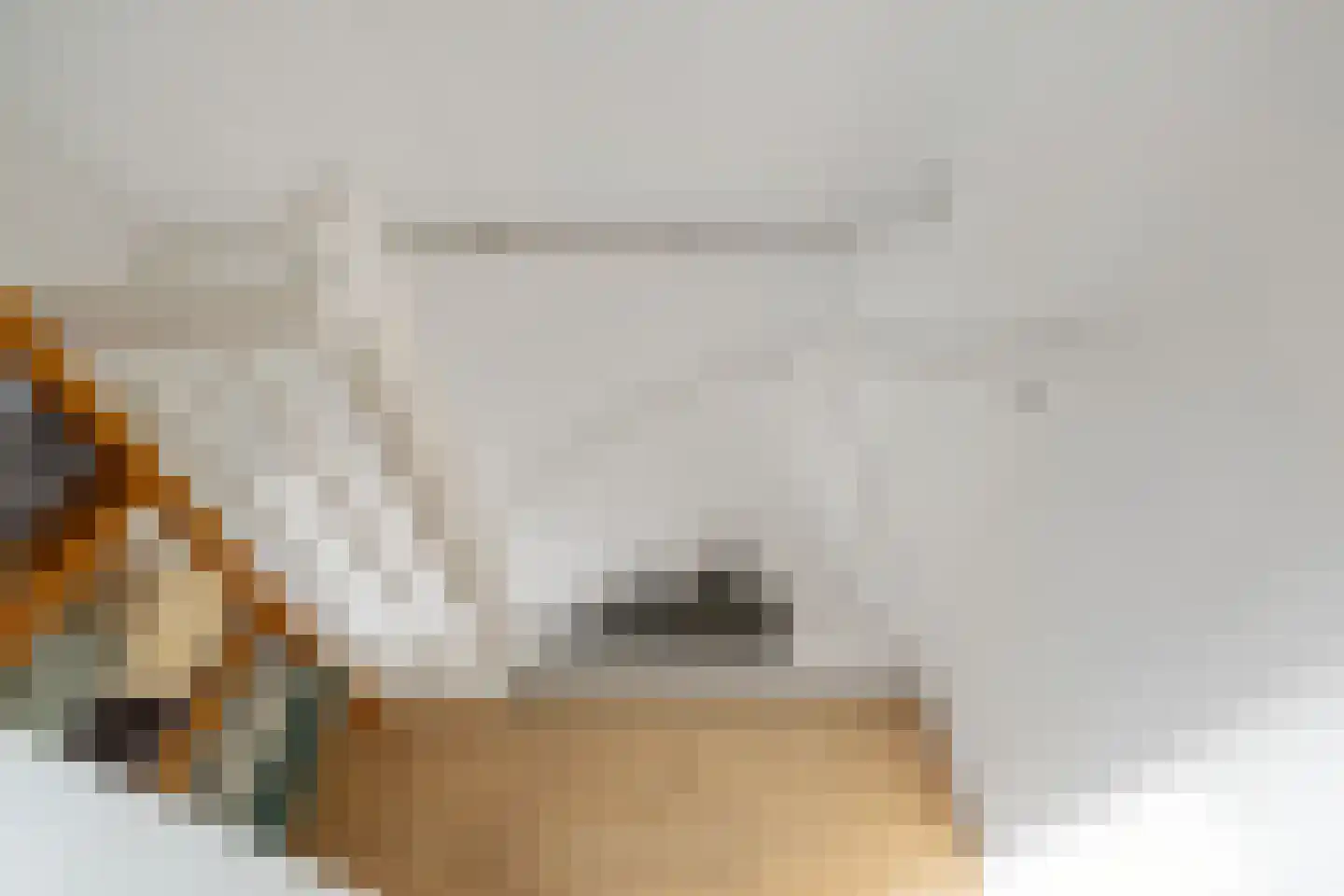 Kleine Steentilstraat 2 a Groningen thumbnail 22