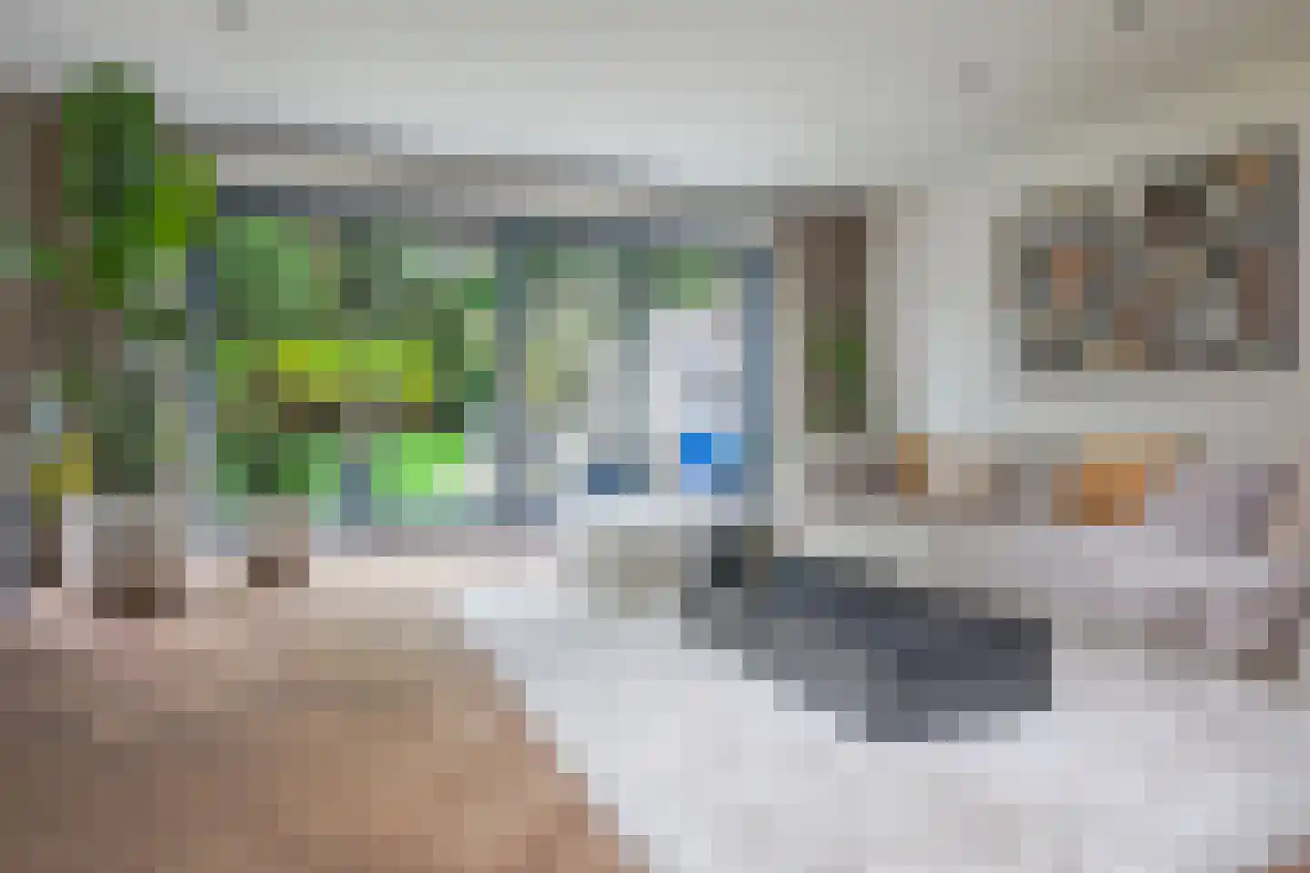 Kleine Stegel 20 Eygelshoven thumbnail 13