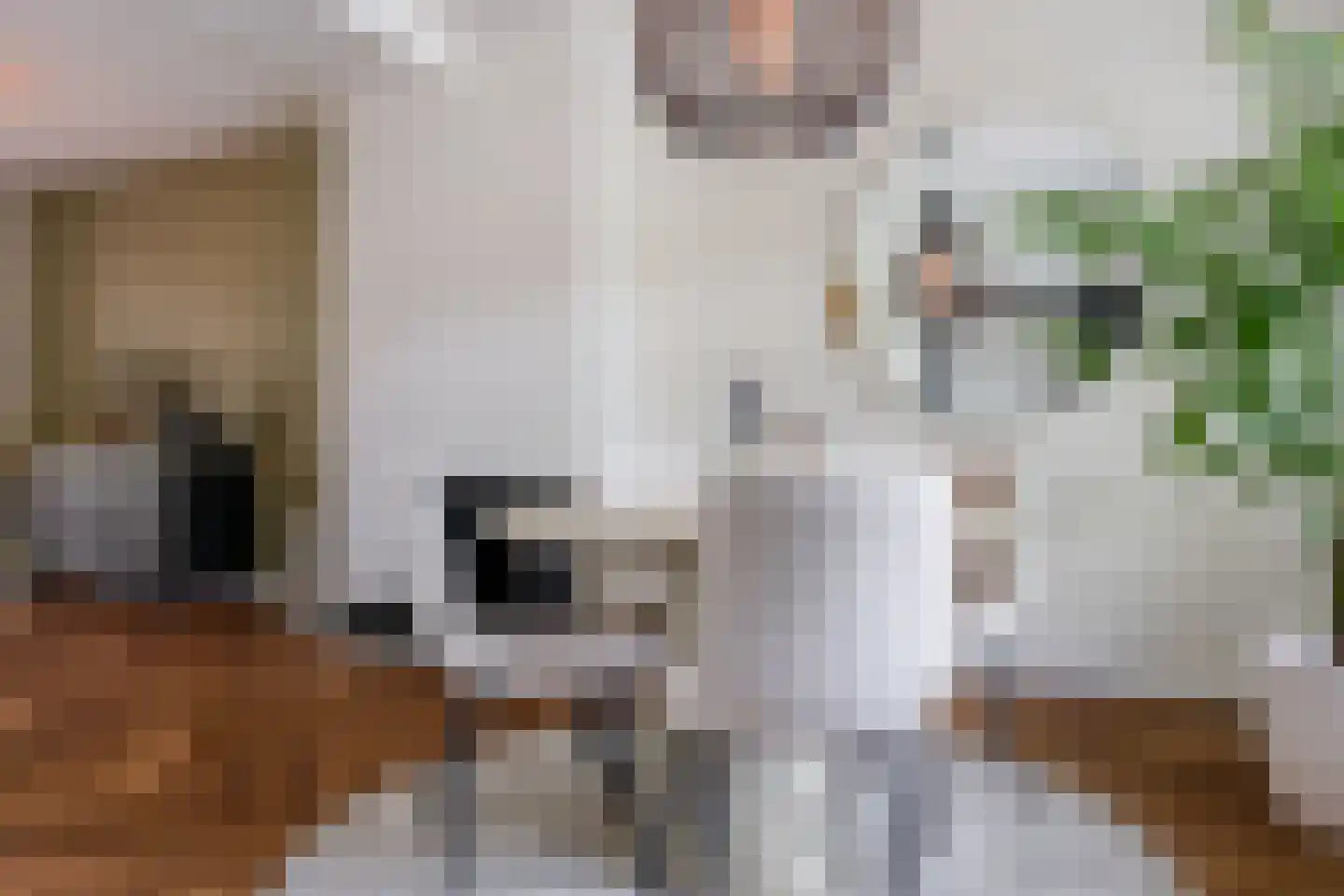 Kleine Stegel 20 Eygelshoven thumbnail 7