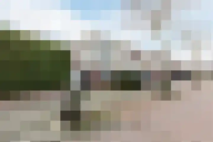 Kleine Tiend 3 Echt