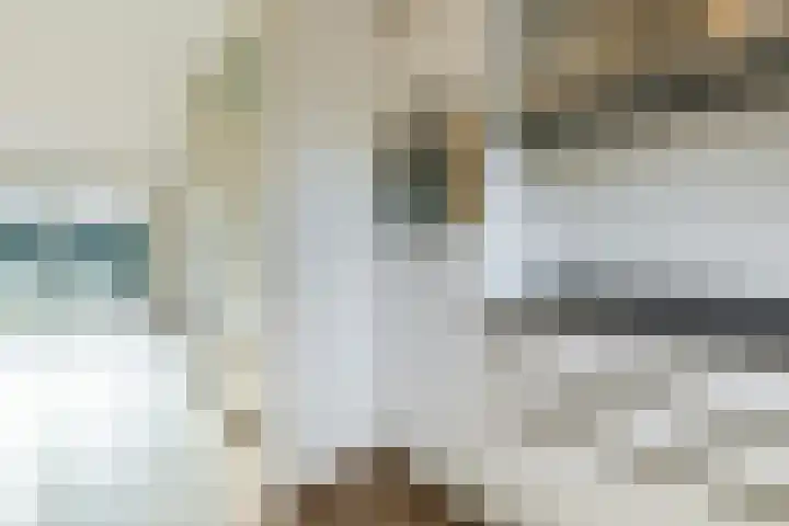 Kleine Tiend 3 Echt thumbnail 12