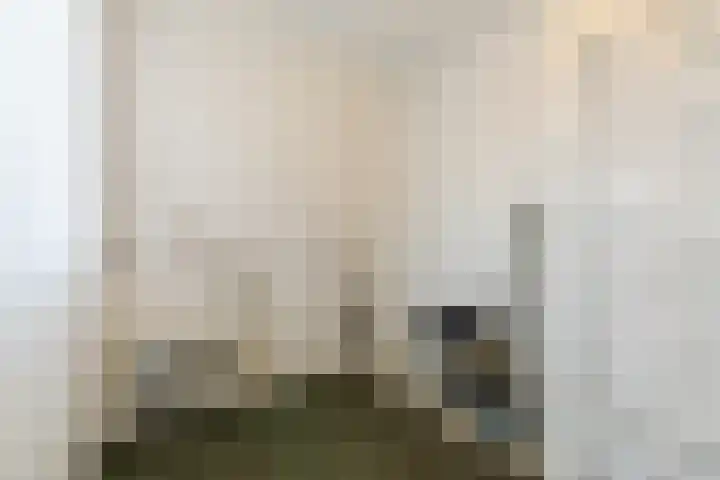 Kleine Tiend 3 Echt thumbnail 14