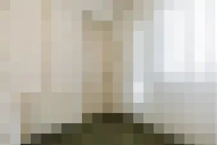 Kleine Tiend 3 Echt thumbnail 15