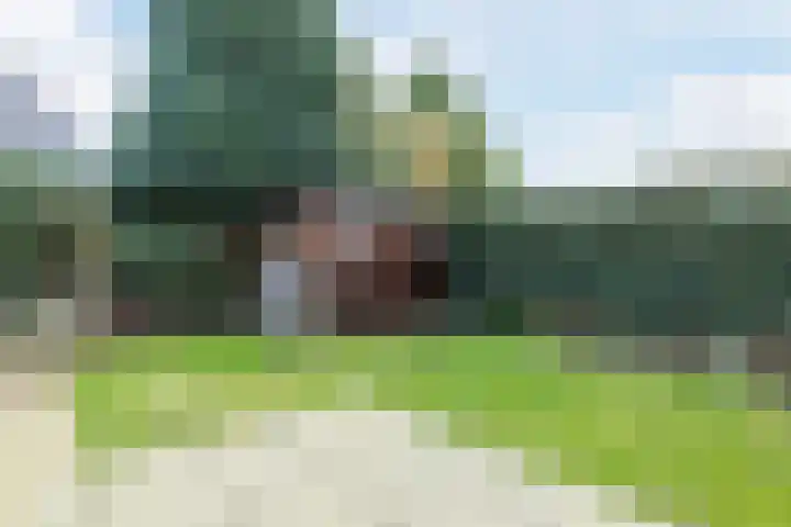 Kleine Tiend 3 Echt thumbnail 29