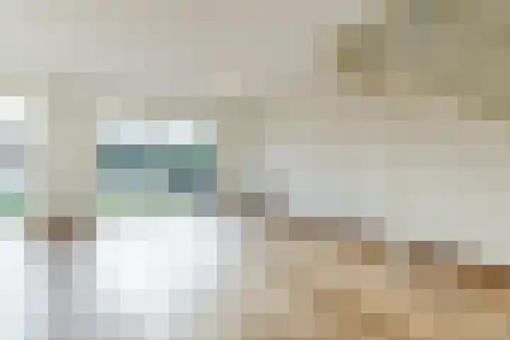 Kleine Tiend 3 Echt thumbnail 8