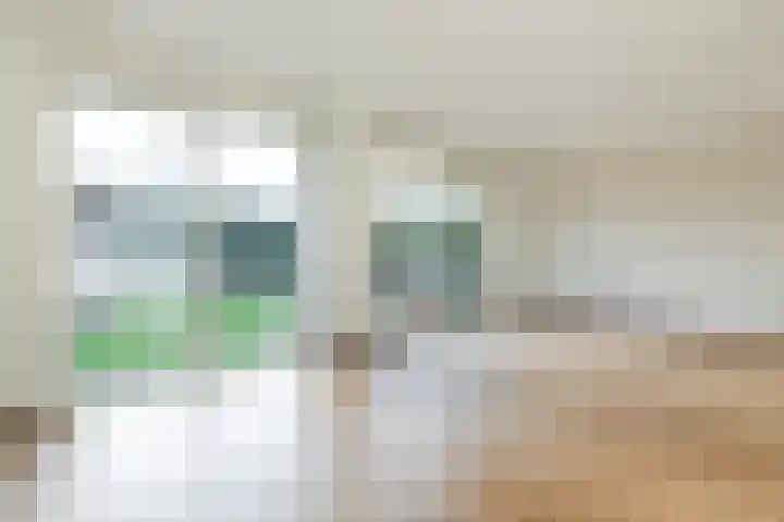 Kleine Tiend 3 Echt thumbnail 9