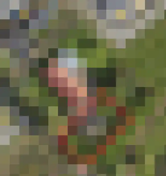 Kleine Ton 1 Fijnaart thumbnail 11