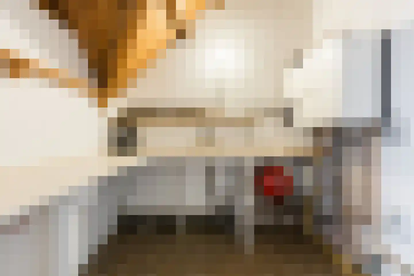 Kleine Ton 1 Fijnaart thumbnail 40