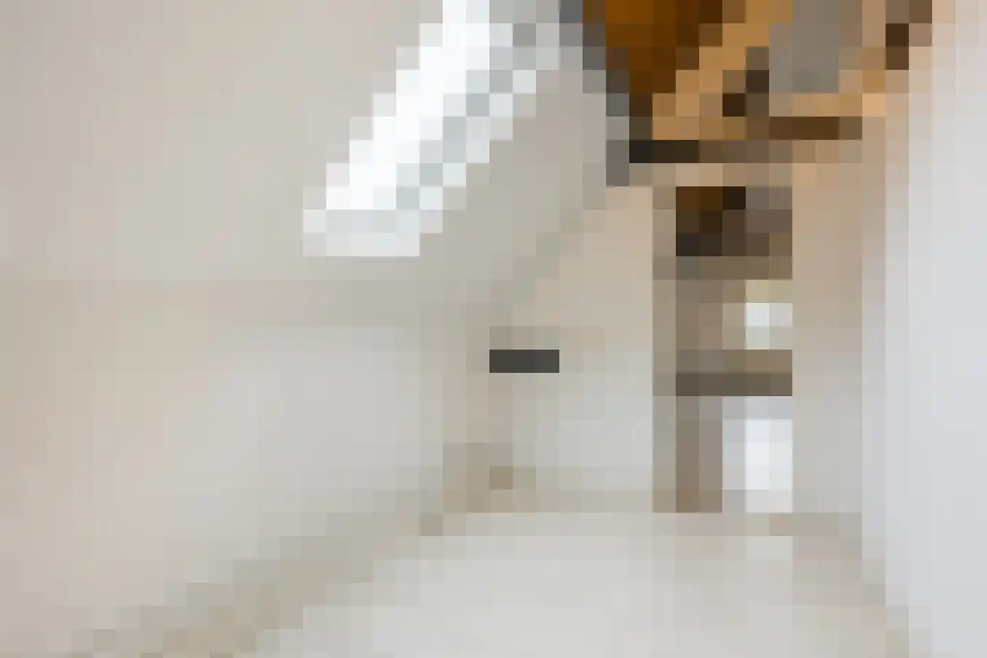 Kleine Ton 1 Fijnaart thumbnail 43