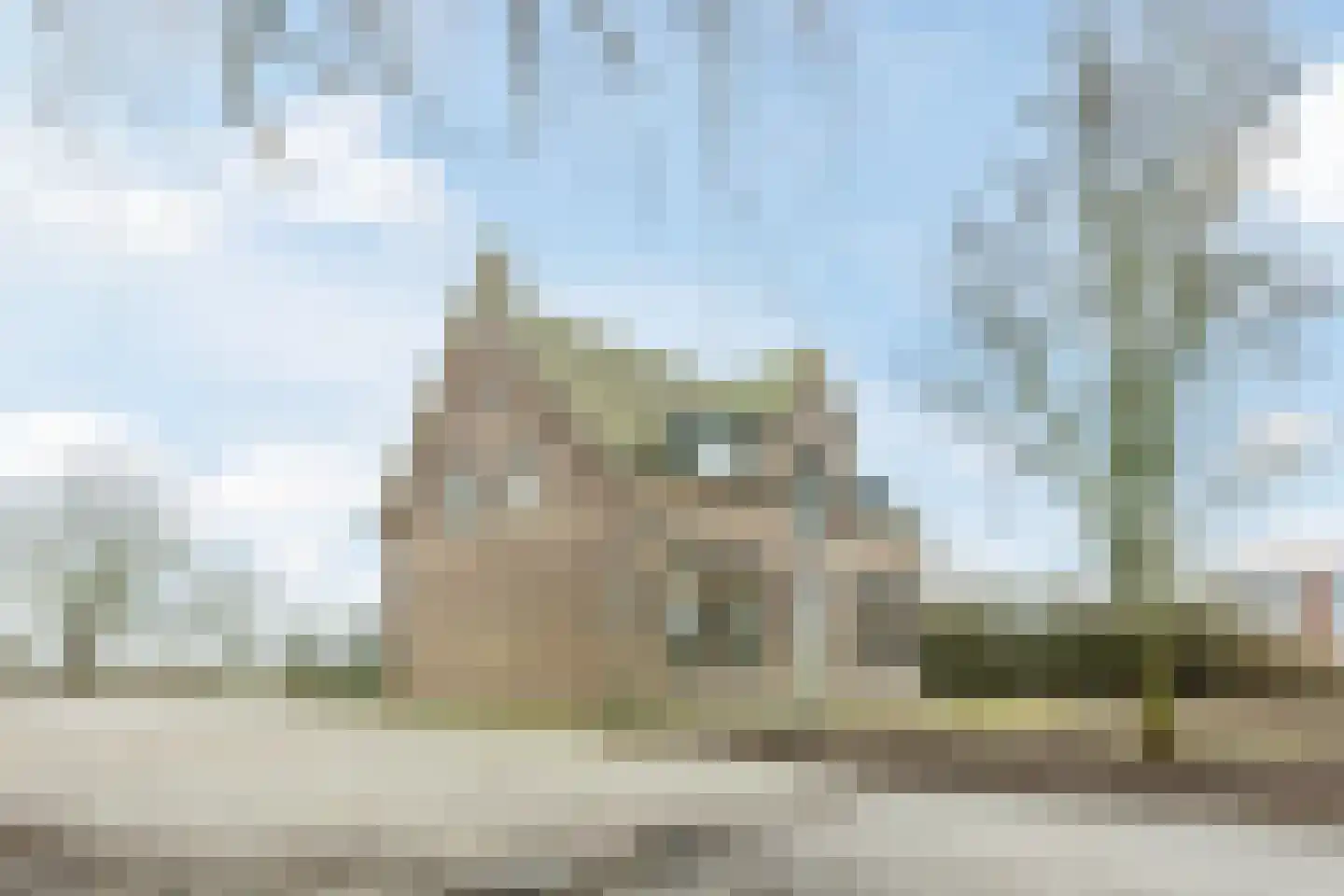 Kleine Ton 1 Fijnaart thumbnail 6