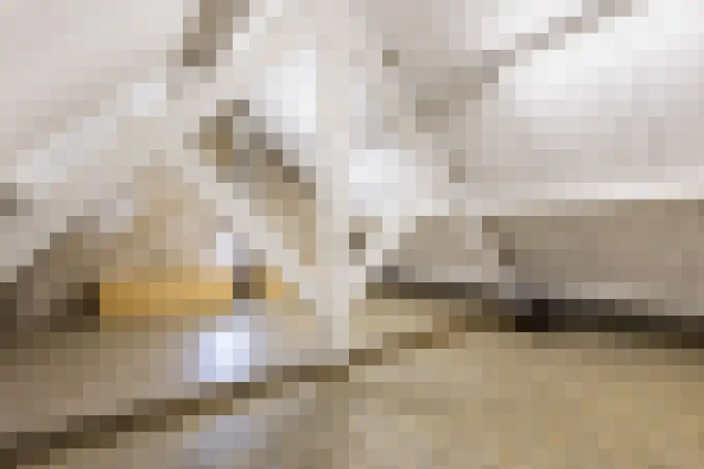 Kleine Ton 1 Fijnaart thumbnail 64