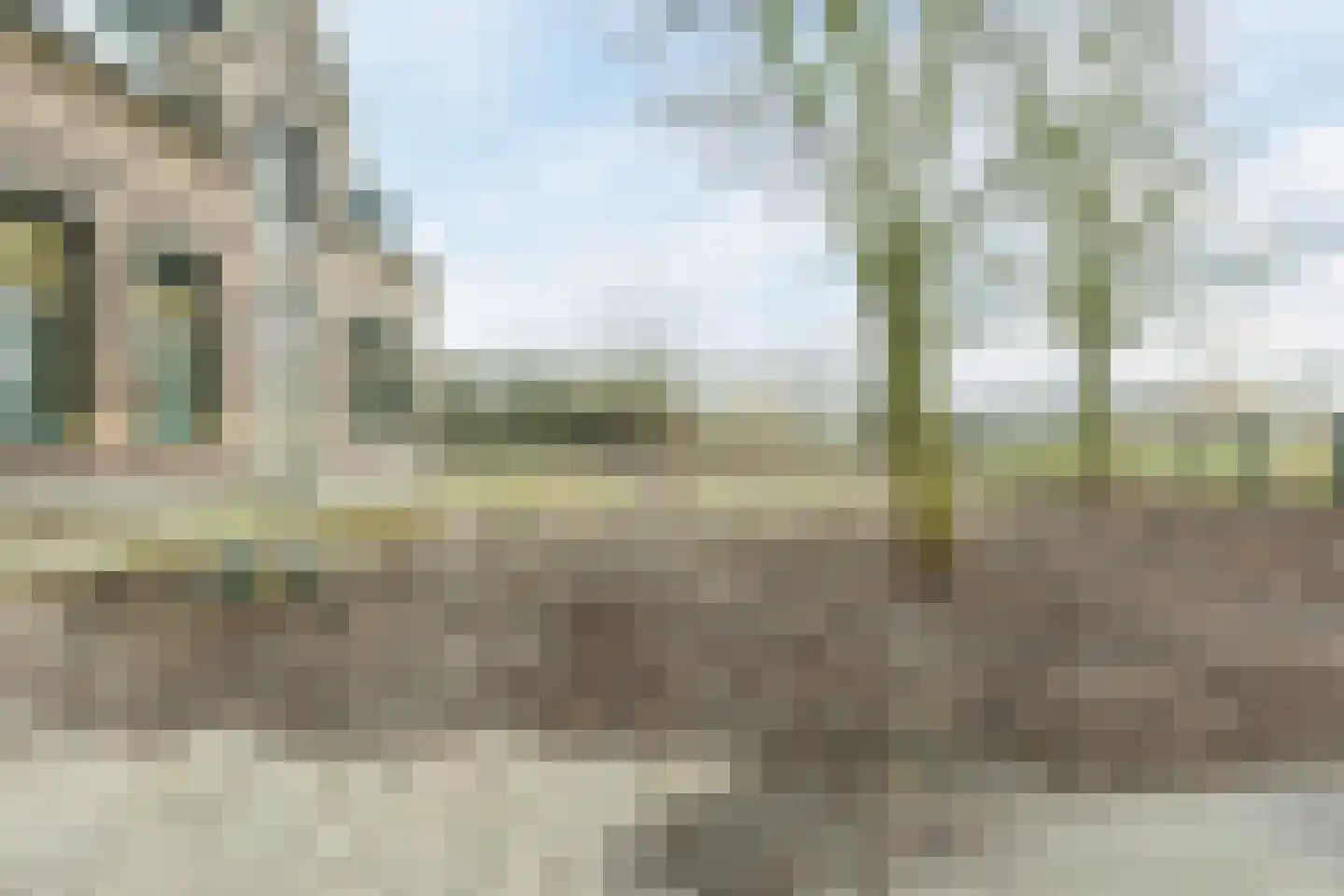 Kleine Ton 1 Fijnaart thumbnail 72
