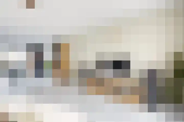 Kleine Ton 10 Fijnaart thumbnail 13