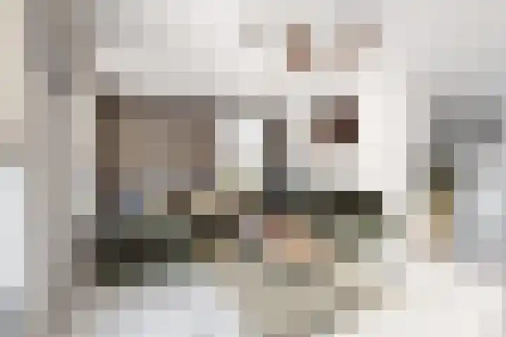 Kleine Ton 10 Fijnaart thumbnail 14