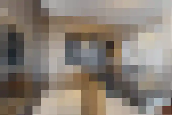 Kleine Ton 10 Fijnaart thumbnail 23