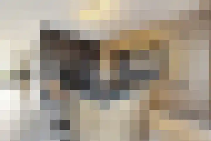 Kleine Ton 10 Fijnaart thumbnail 26