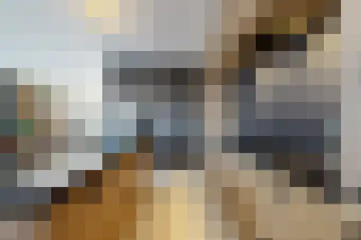 Kleine Ton 10 Fijnaart thumbnail 27