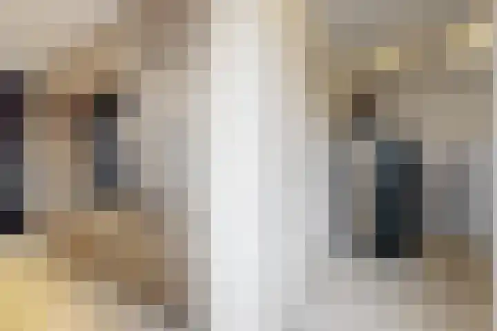 Kleine Ton 10 Fijnaart thumbnail 28
