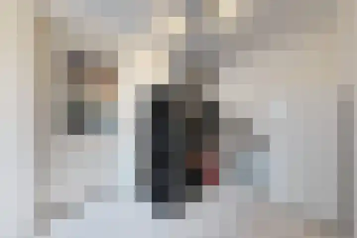 Kleine Ton 10 Fijnaart thumbnail 29