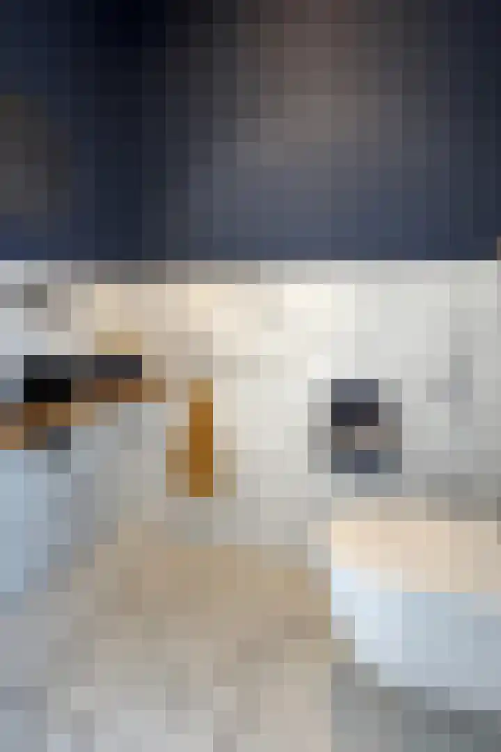 Kleine Ton 10 Fijnaart thumbnail 31