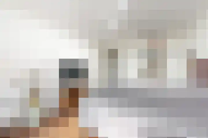 Kleine Ton 10 Fijnaart thumbnail 36