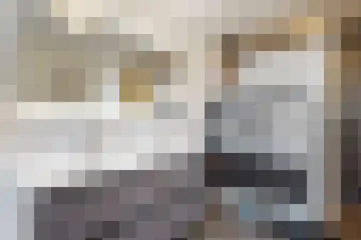 Kleine Ton 10 Fijnaart thumbnail 44