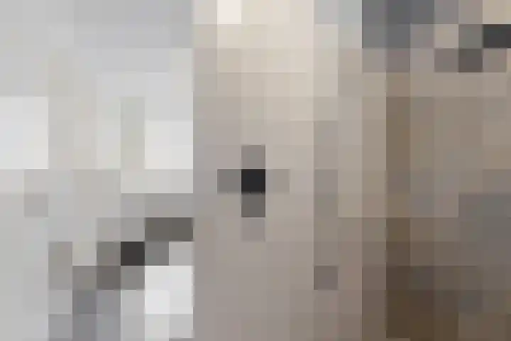Kleine Ton 10 Fijnaart thumbnail 45