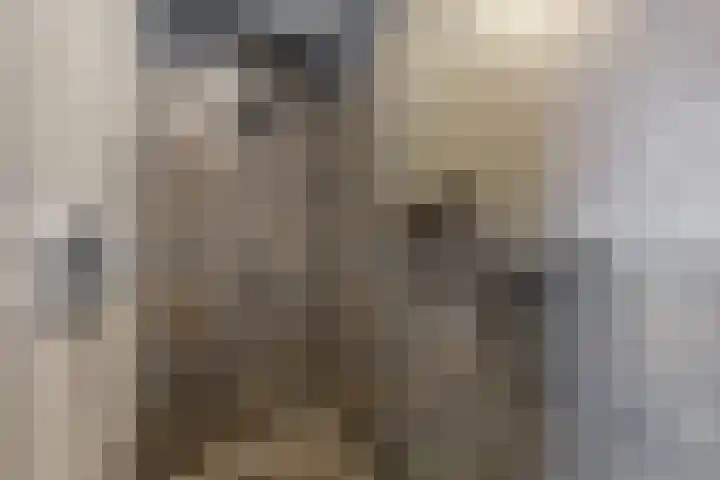 Kleine Ton 10 Fijnaart thumbnail 46